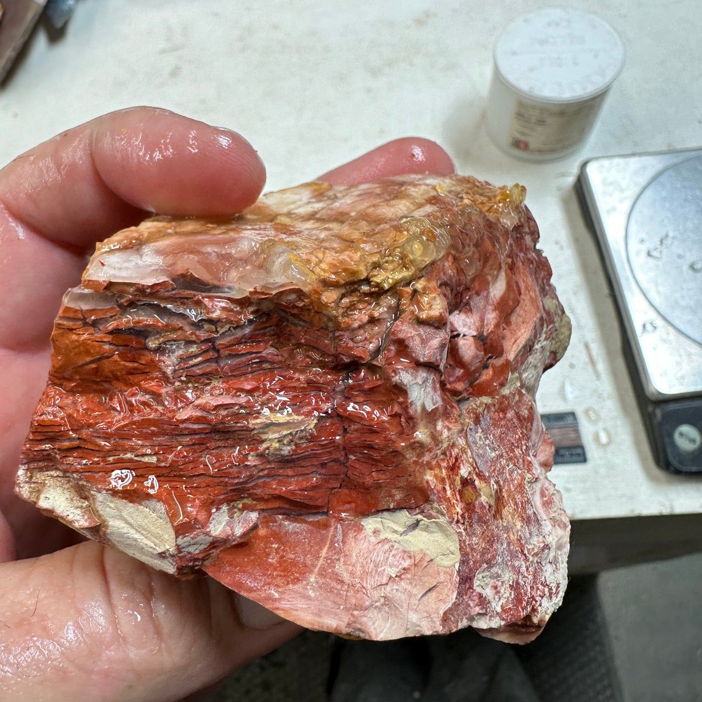 Red HOWARDITE Faced Rough - 14.7ozs