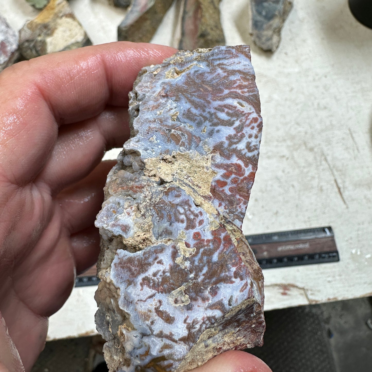 WINGATE PASS PLUME AGATE Windowed Rough - 0.68 Pounds