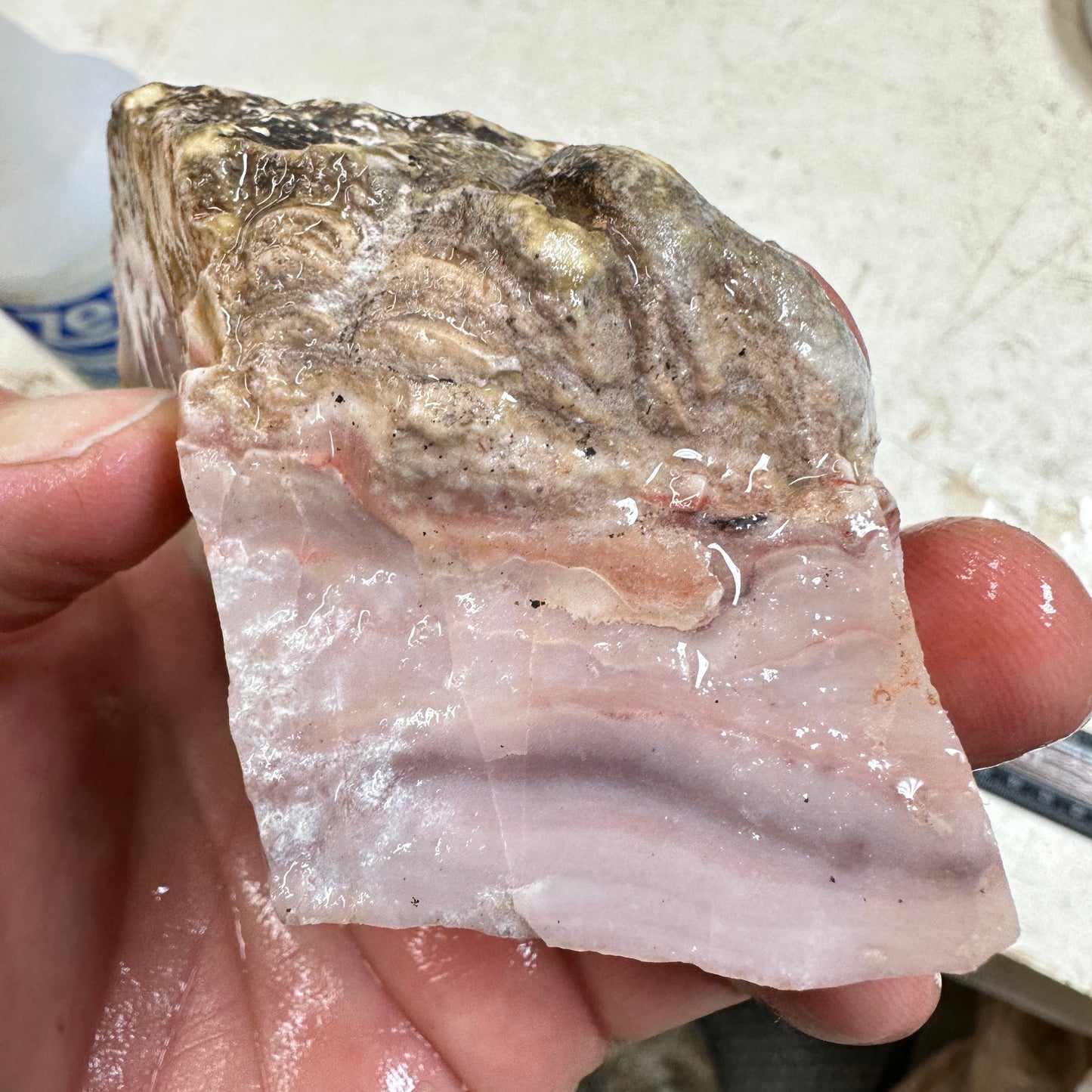 WINDY MOUNTAIN AGATE Rough - 0.71 Pounds