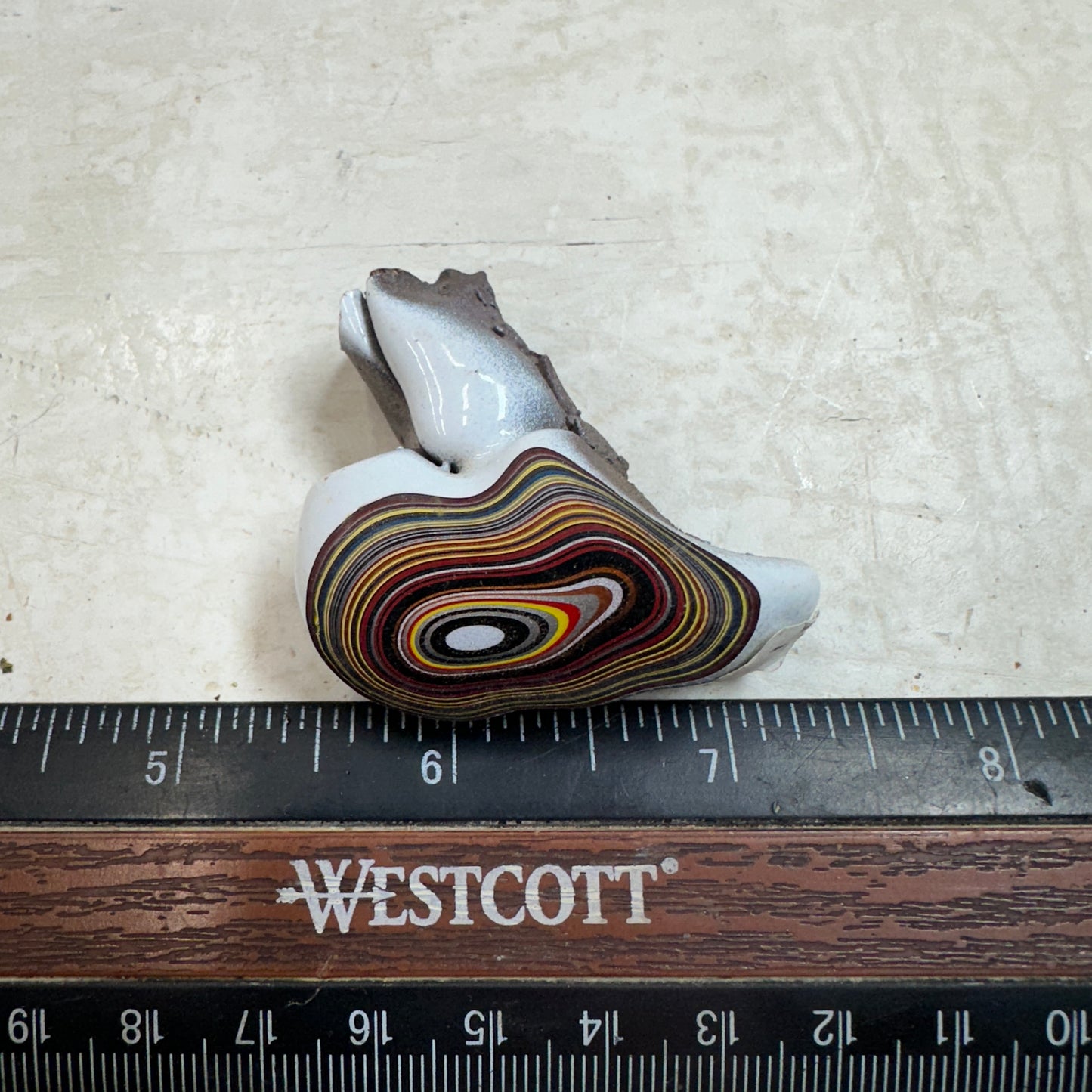 CORVETTE FORDITE Rough - 17.8 grams