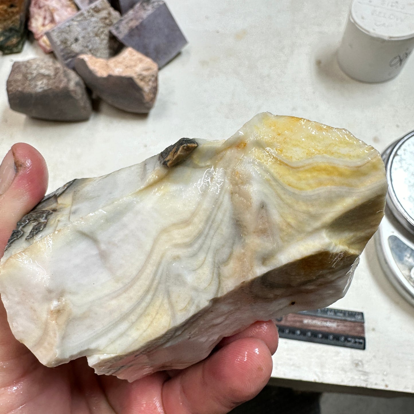 WINDY MOUNTAIN AGATE Rough - 1.38 Pounds