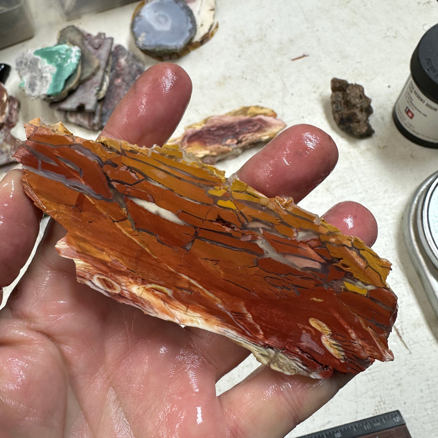 SUNSET HOWARDITE Slab - 56 grams