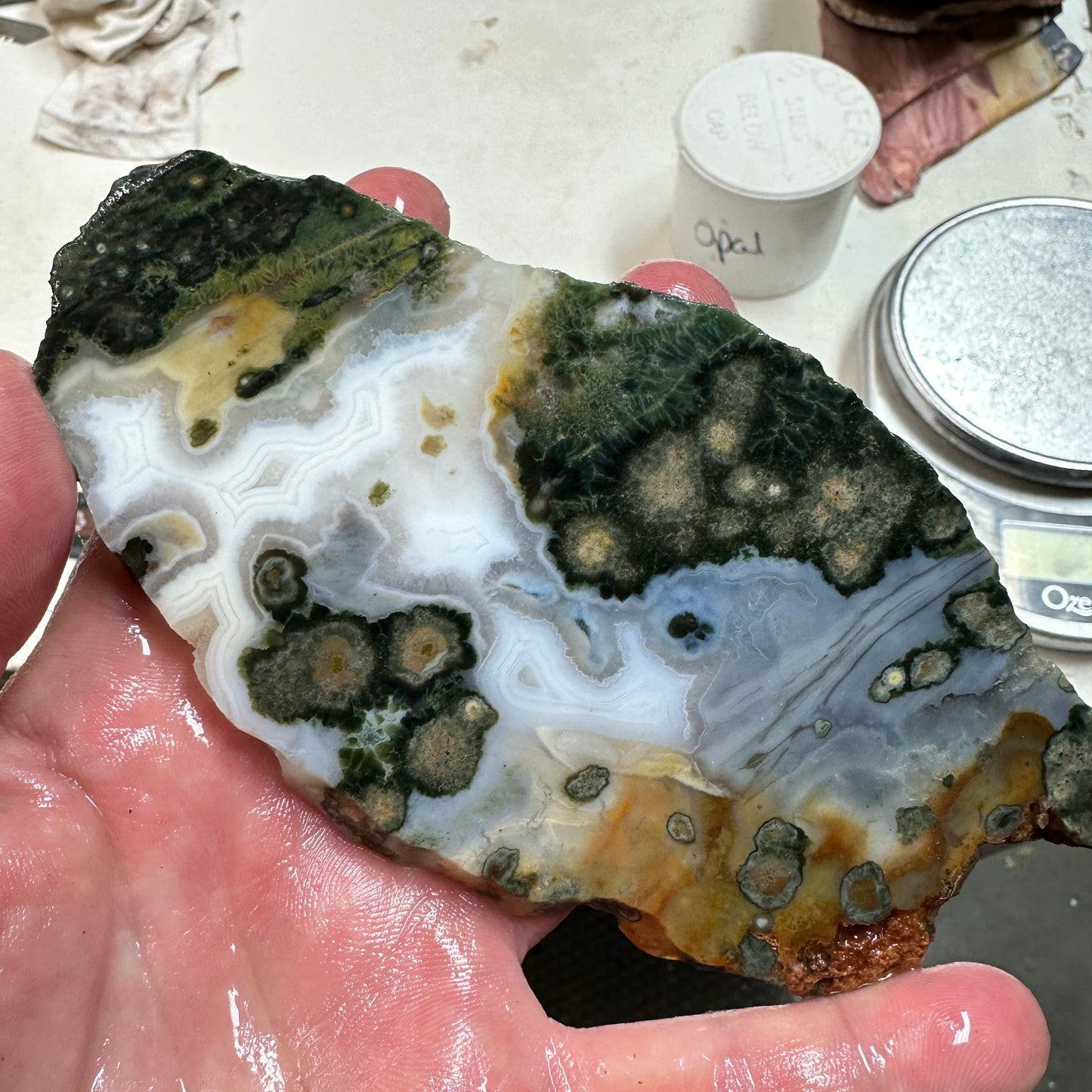 OCEAN JASPER Slab - 153 grams