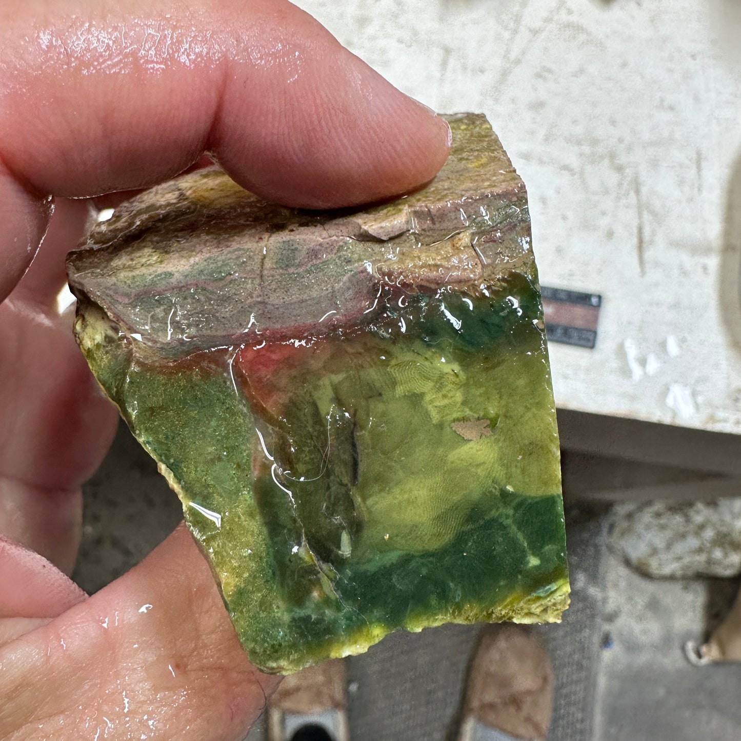 MORRISONITE JASPER Faced Rough - 0.64 Pounds