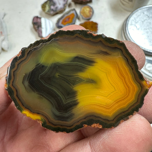 CONDOR AGATE Polished Specimen