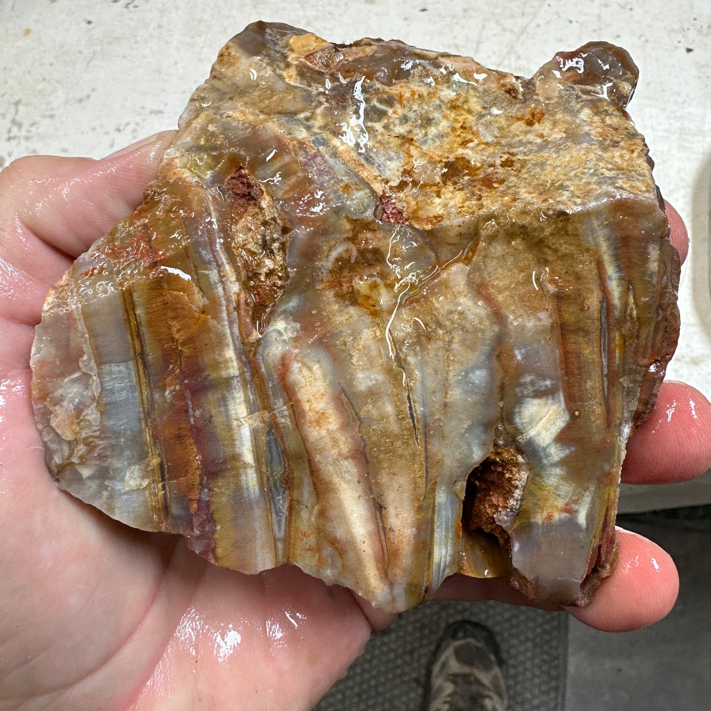 SUMATRAN FLAME SAGENITE AGATE Rough - 1.49 pounds