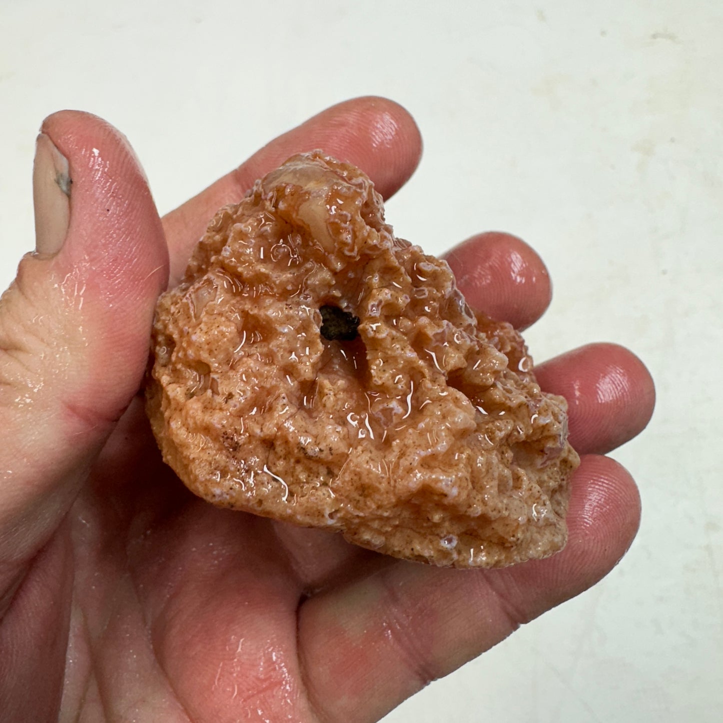 MOROCCAN AHOULI AGATE Rough - 0.41 Pounds