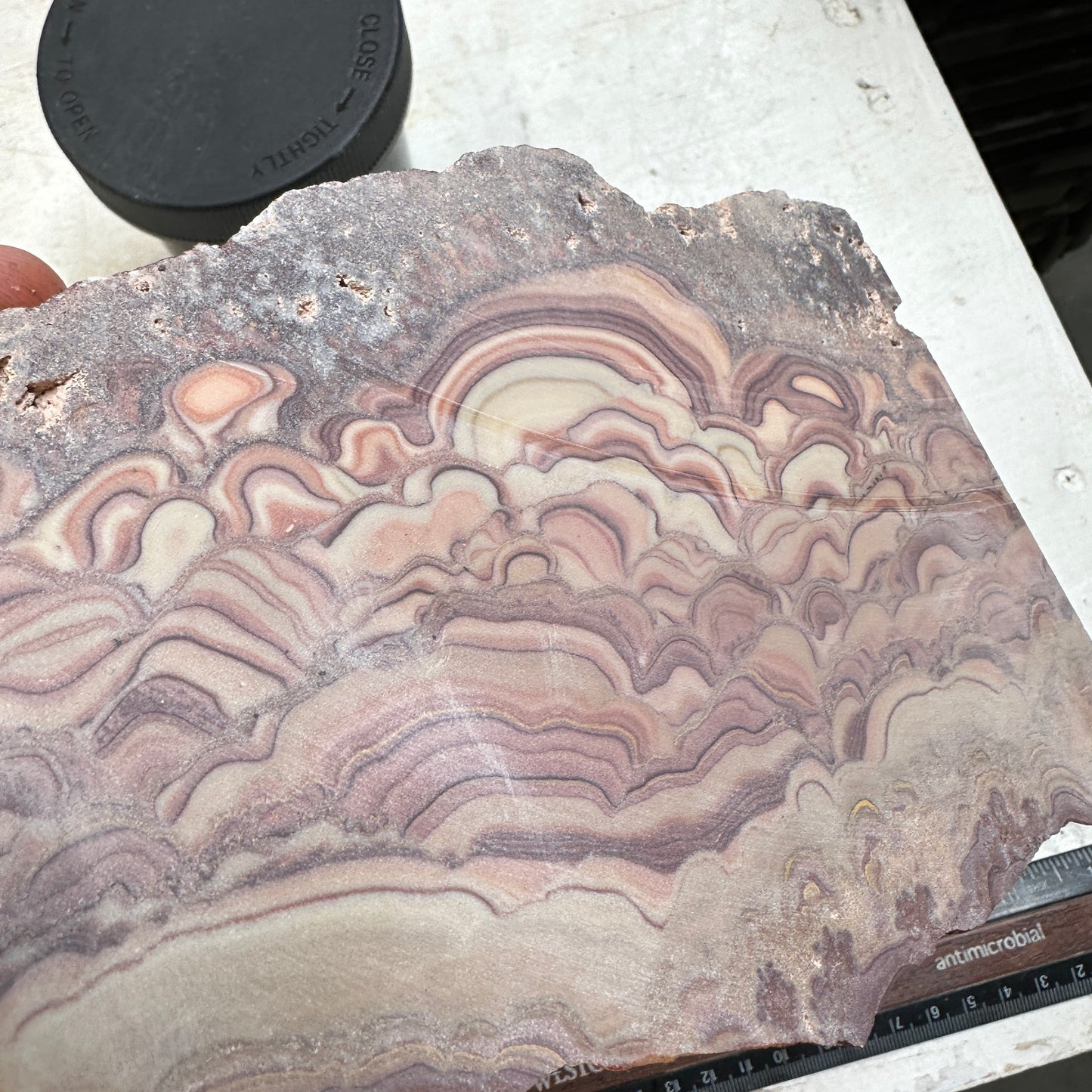 ROLLING HILLS DOLOMITE Slab - 309 grams