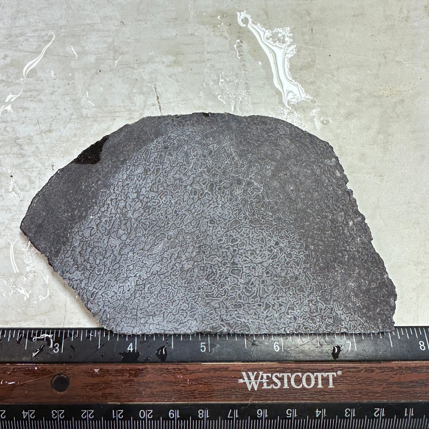 GEMBONE Dinosaur Bone Slab - 136 grams