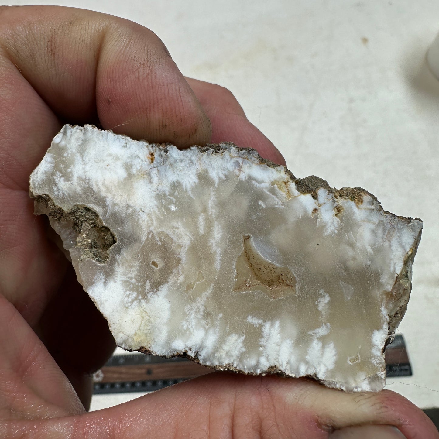 NEVADA POINT PLUME AGATE Faced Rough - 0.52 Pounds