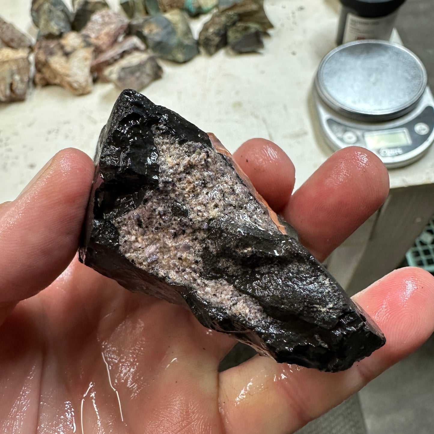 TIFFANY STONE Rough - 0.43 Pounds