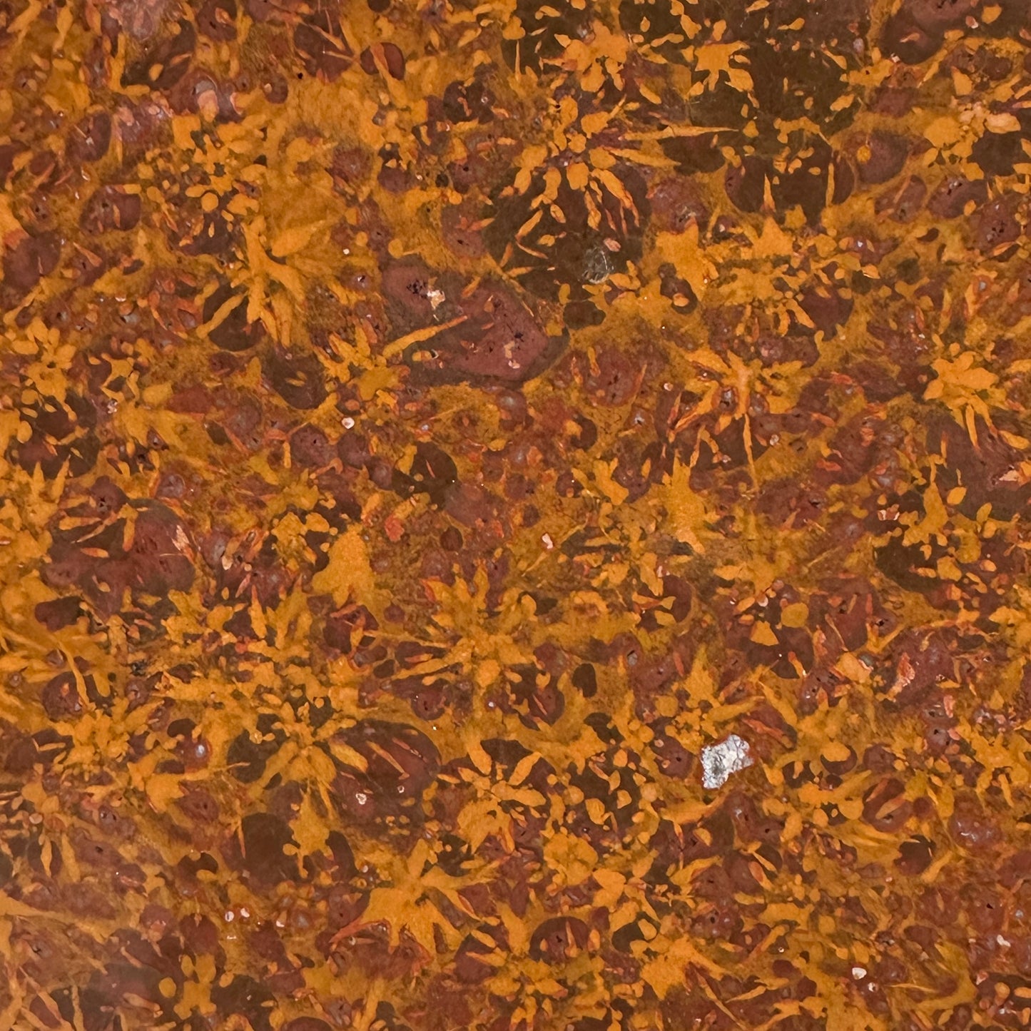 STARBURST RHYOLITE Slab - 254 grams