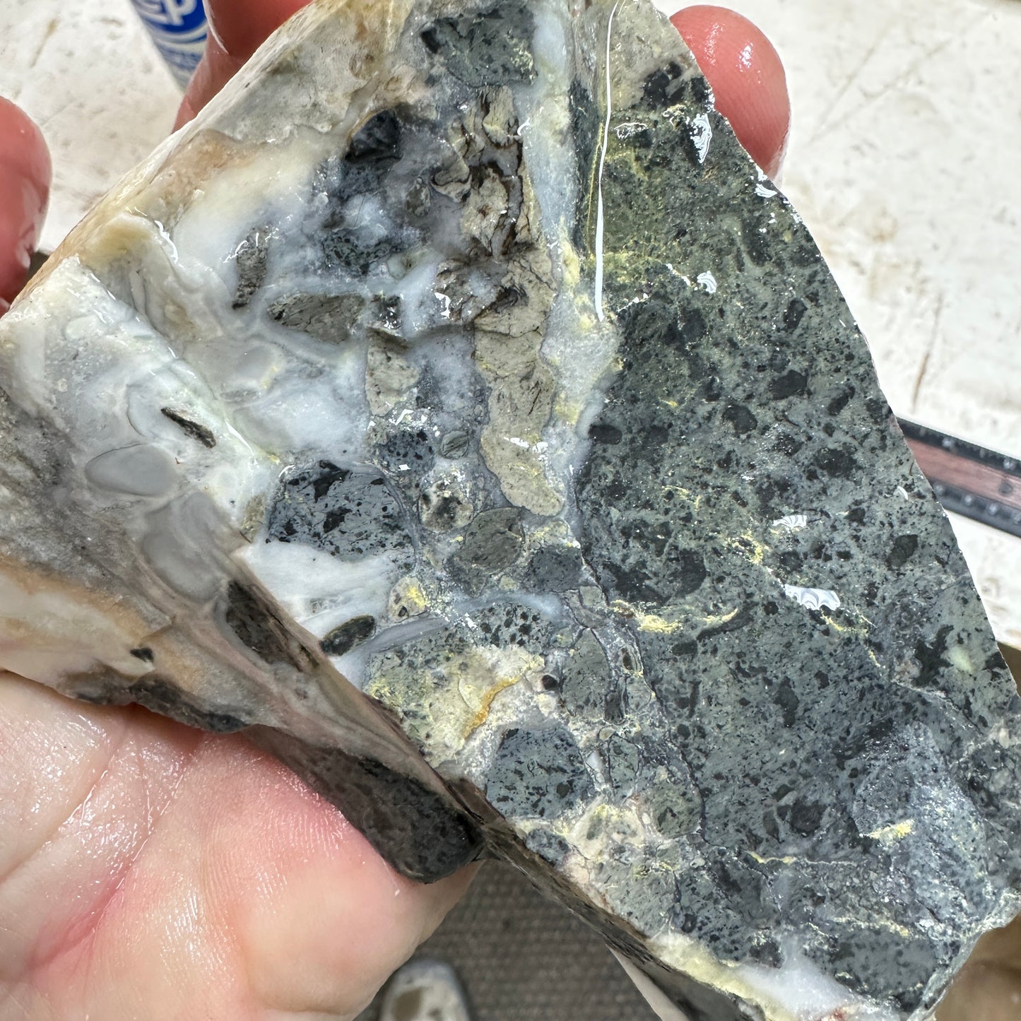 WINDY MOUNTAIN AGATE Rough - 1.51 Pounds