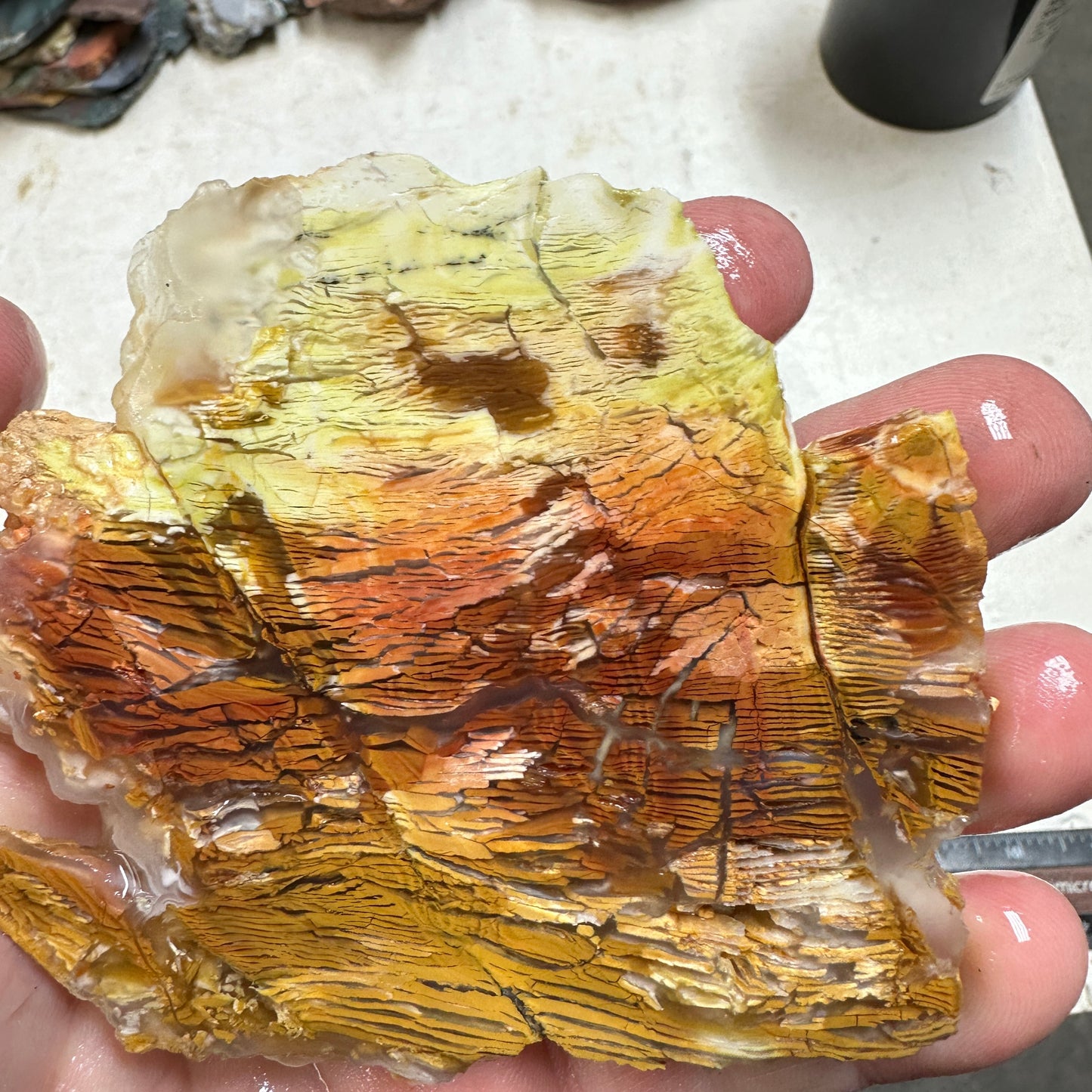 SUNSET HOWARDITE Slab - 124 grams