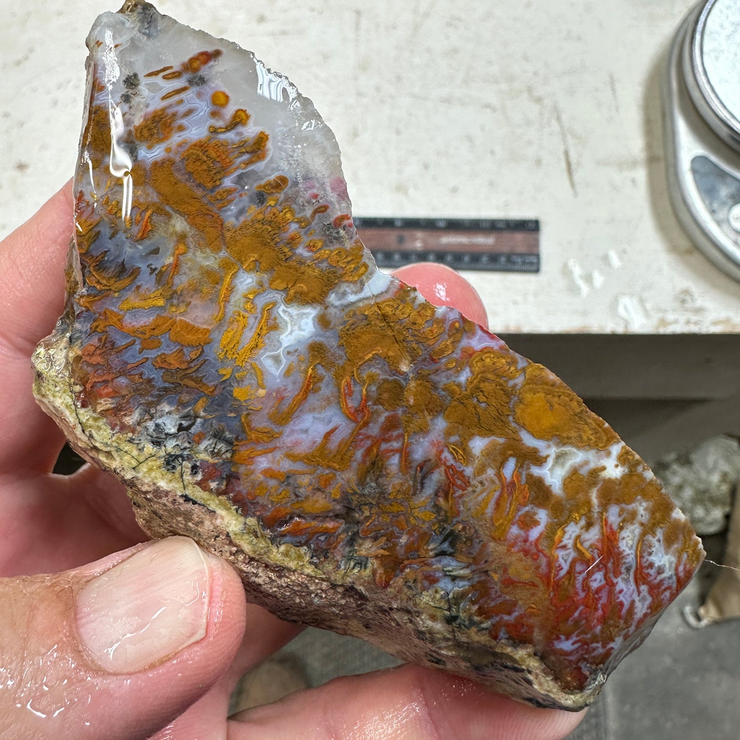 WINGATE PASS PLUME AGATE Windowed Rough - 0.48 Pounds