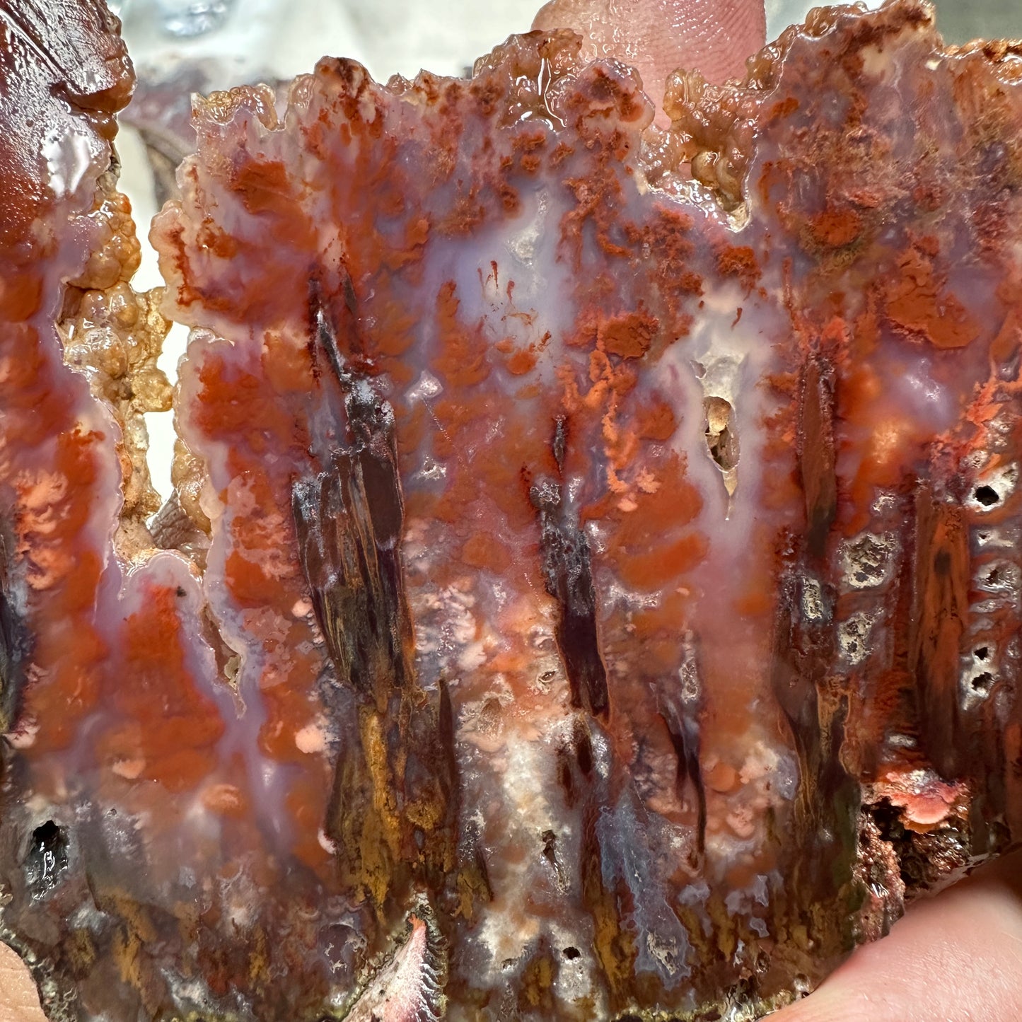 SICAT PLUME AGATE Slab - 156 grams