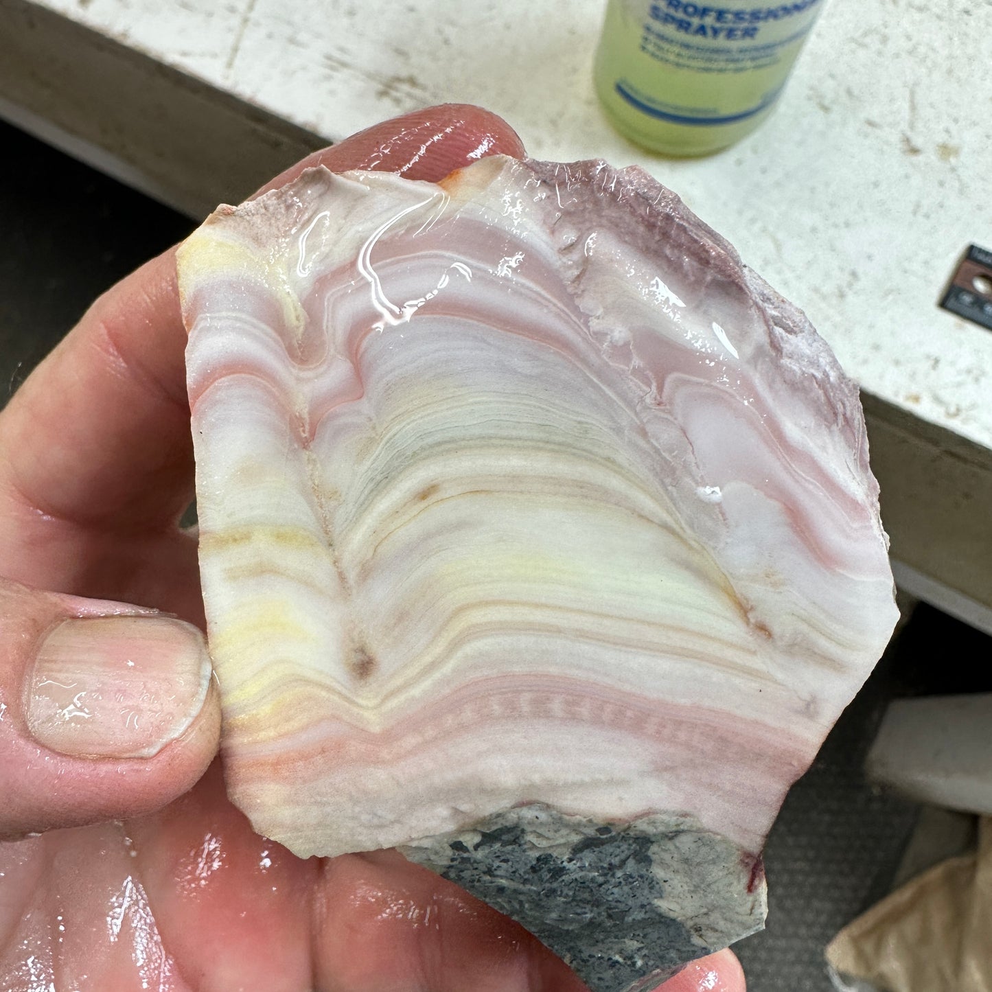 WINDY MOUNTAIN AGATE Rough - 1.04 Pounds