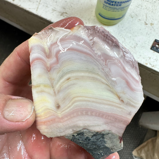 WINDY MOUNTAIN AGATE Rough - 1.04 Pounds