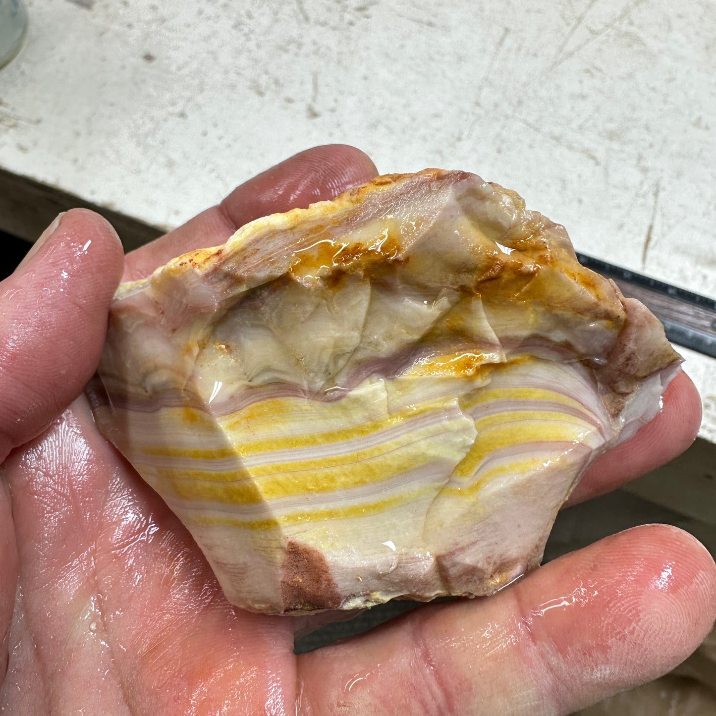 WINDY MOUNTAIN AGATE Rough - 0.54 Pounds