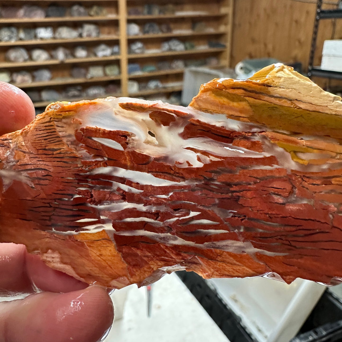 SUNSET HOWARDITE Slab - 63 grams