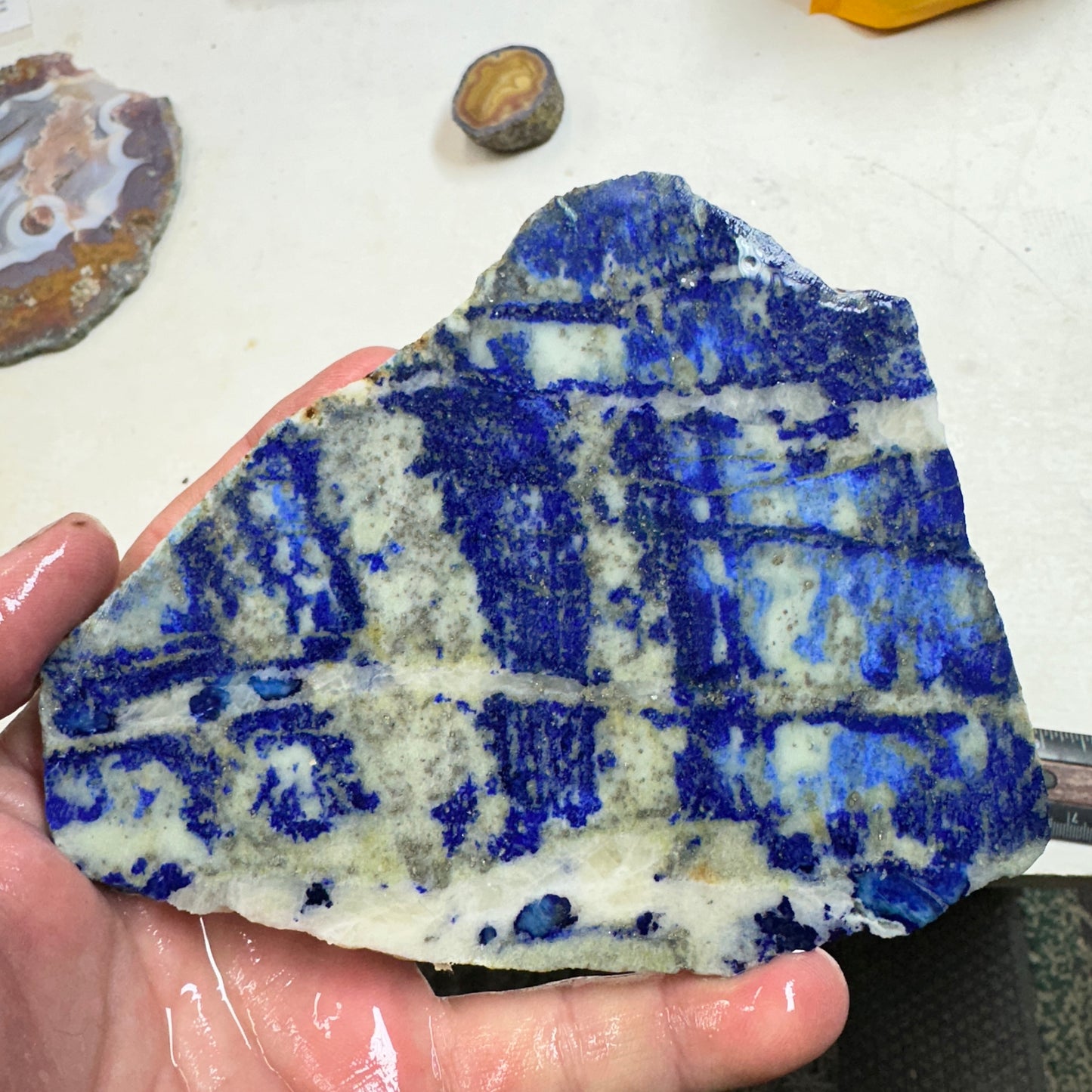 LAPIS LAZULI Slab - 265 grams