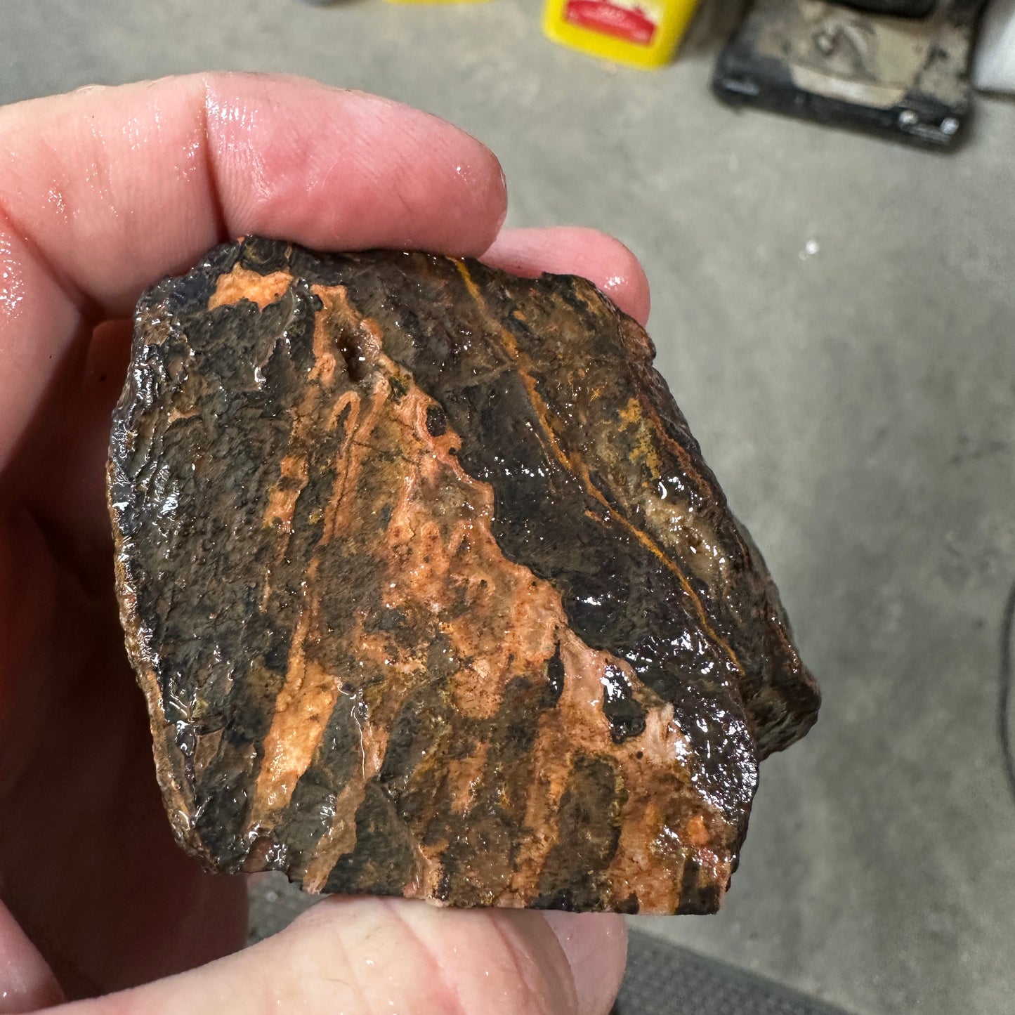MOROCCAN SEAM AGATE Faced Rough - 0.94 Pounds