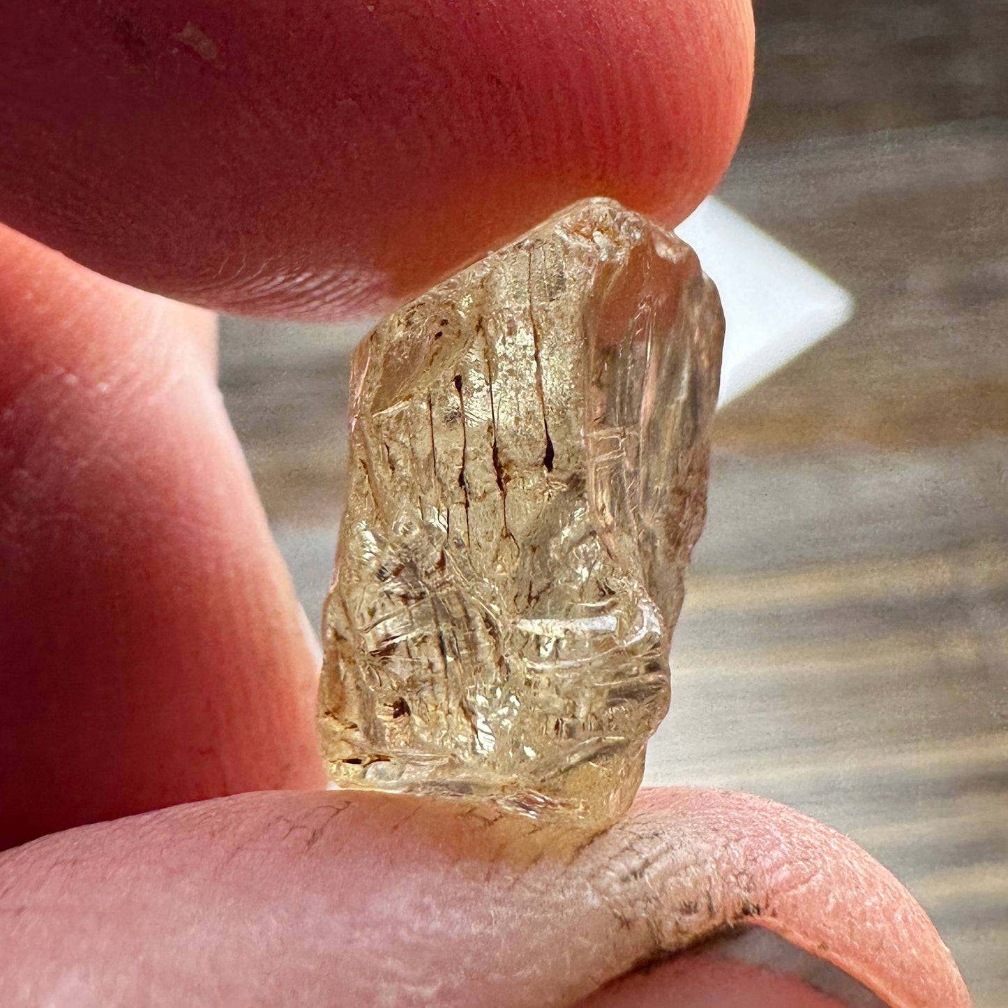 13.66ct SCAPOLITE Facet Rough