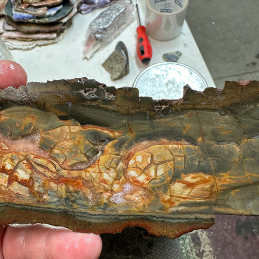 DRY CREEK JASPER Slab - 192 grams