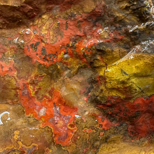 MOROCCAN SEAM AGATE Rough - 1.63 Pounds