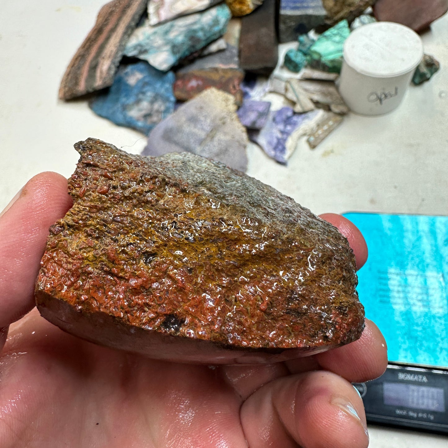 GEMBONE Dinosaur Bone Faced Rough - 0.82 Pounds