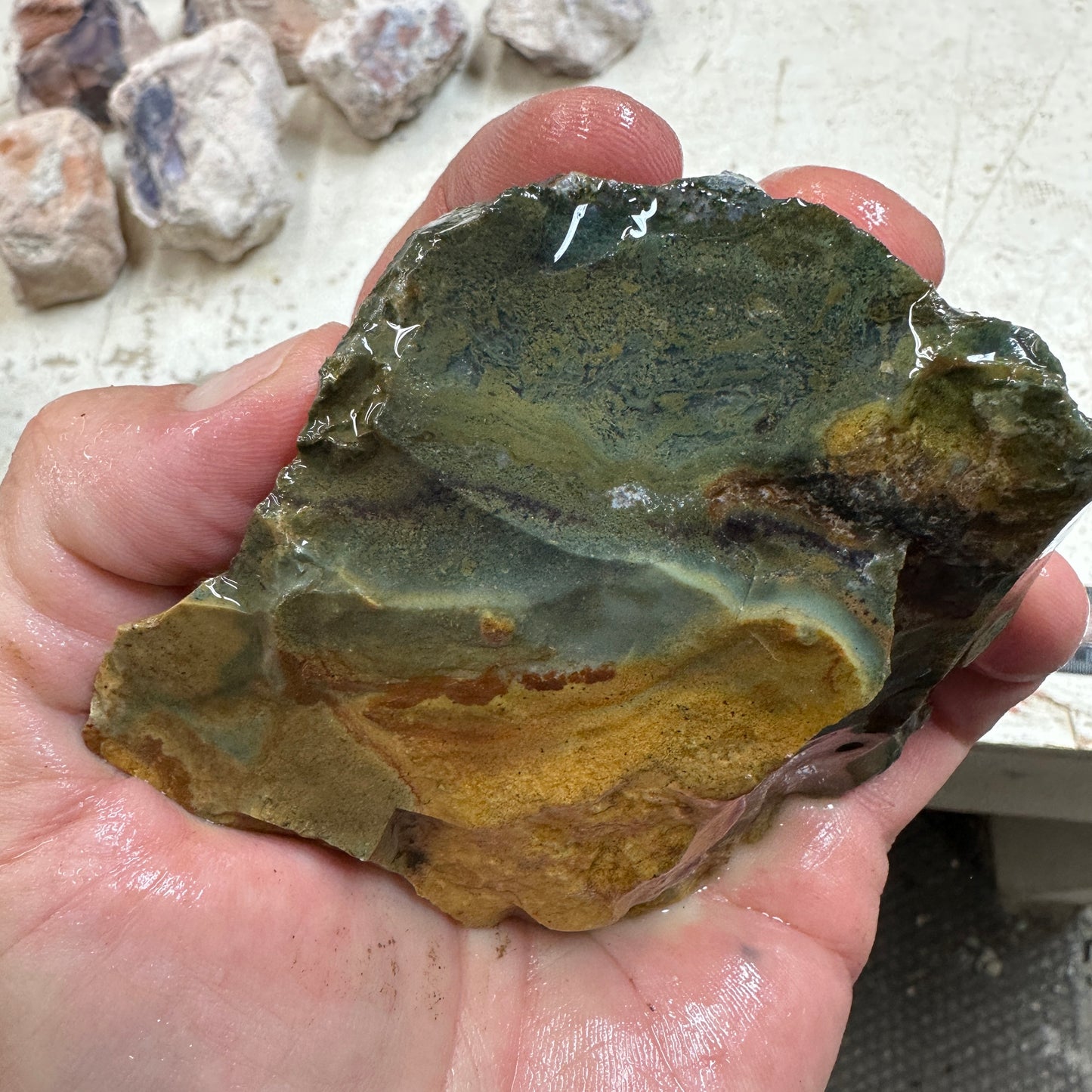 ECHO RIDGE JASPER Rough - 0.93 Pounds