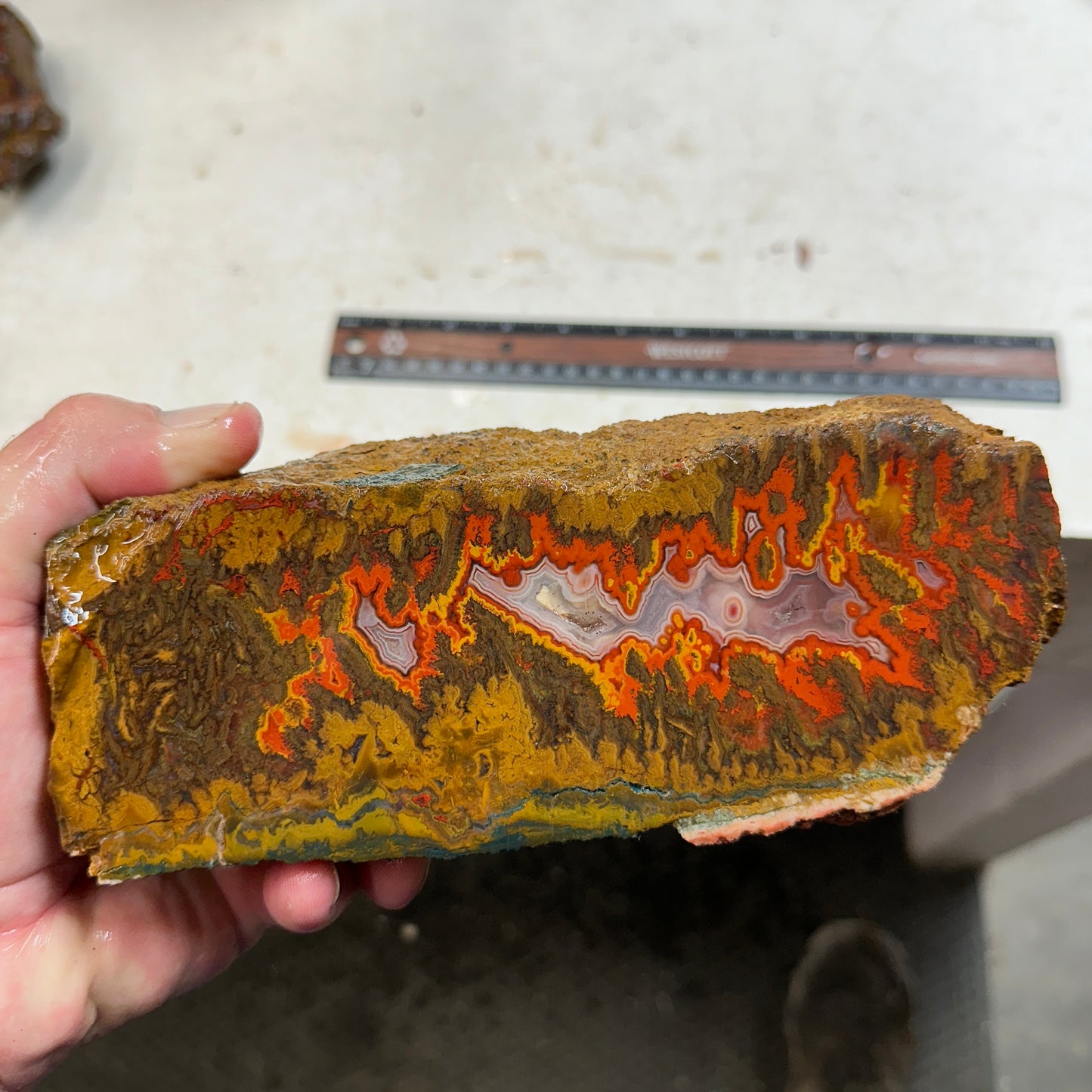 MOROCCAN SEAM AGATE Faced Rough - 3.73 Pounds