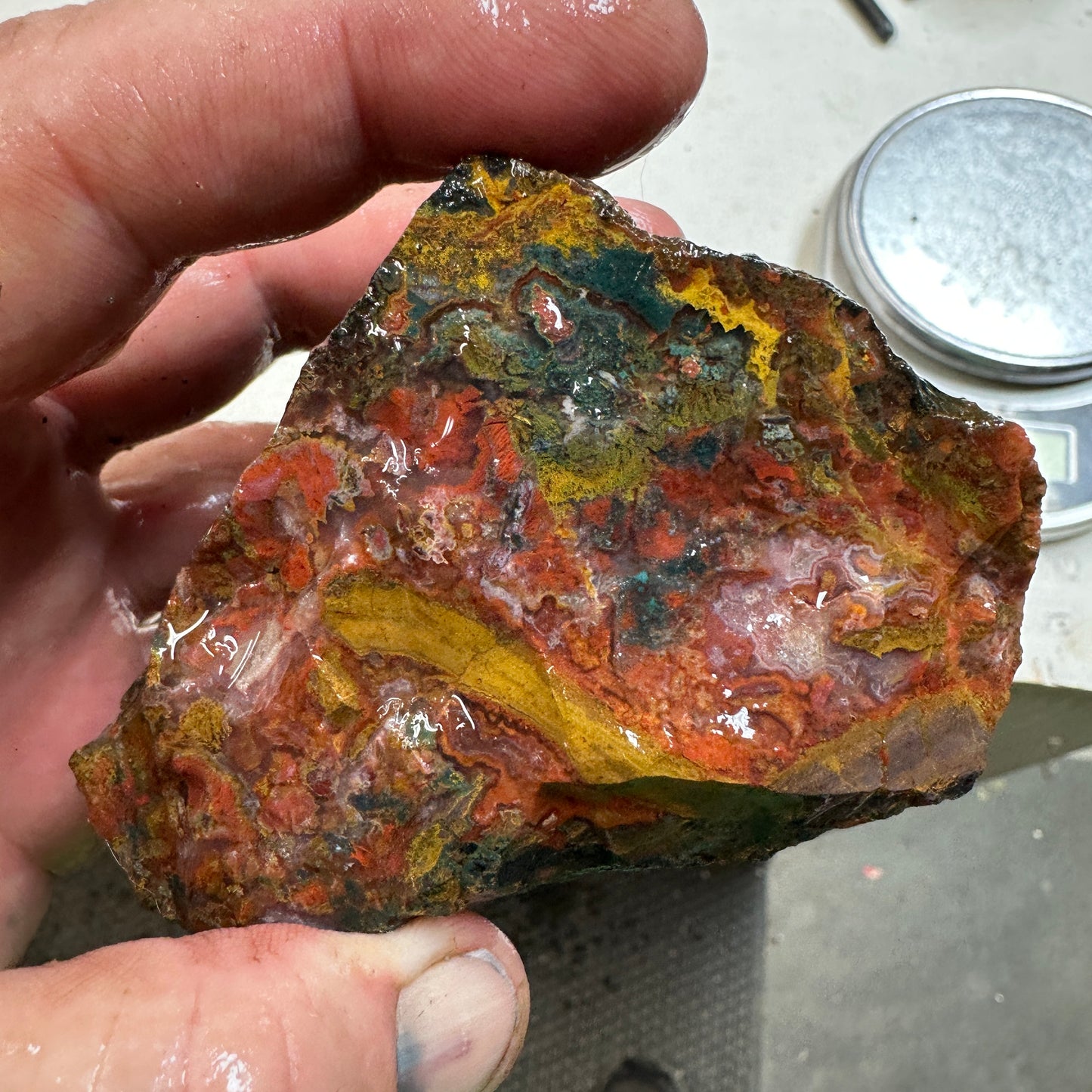 MOROCCAN AGATE Rough - 1.25 Pounds