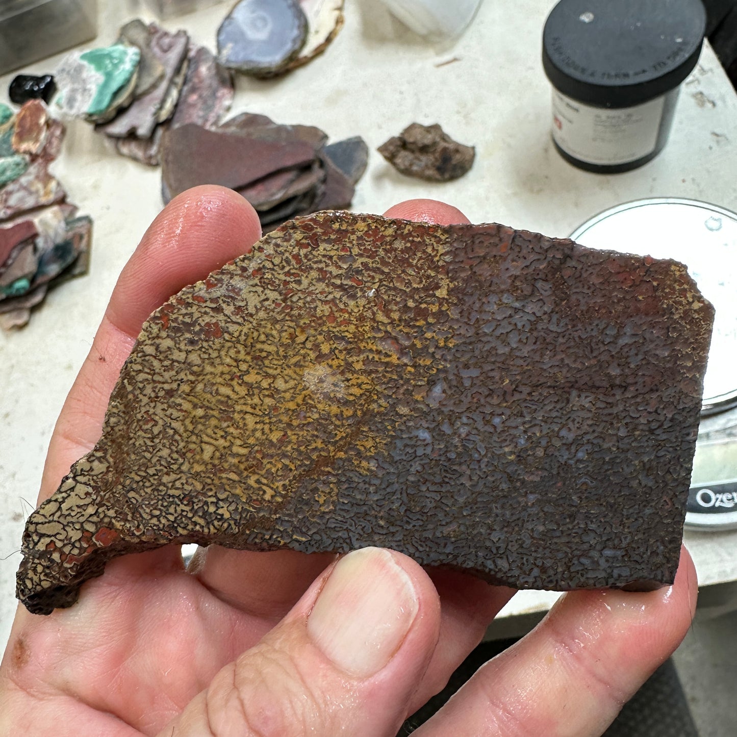 GEMBONE Dinosaur Bone Slab - 85 grams