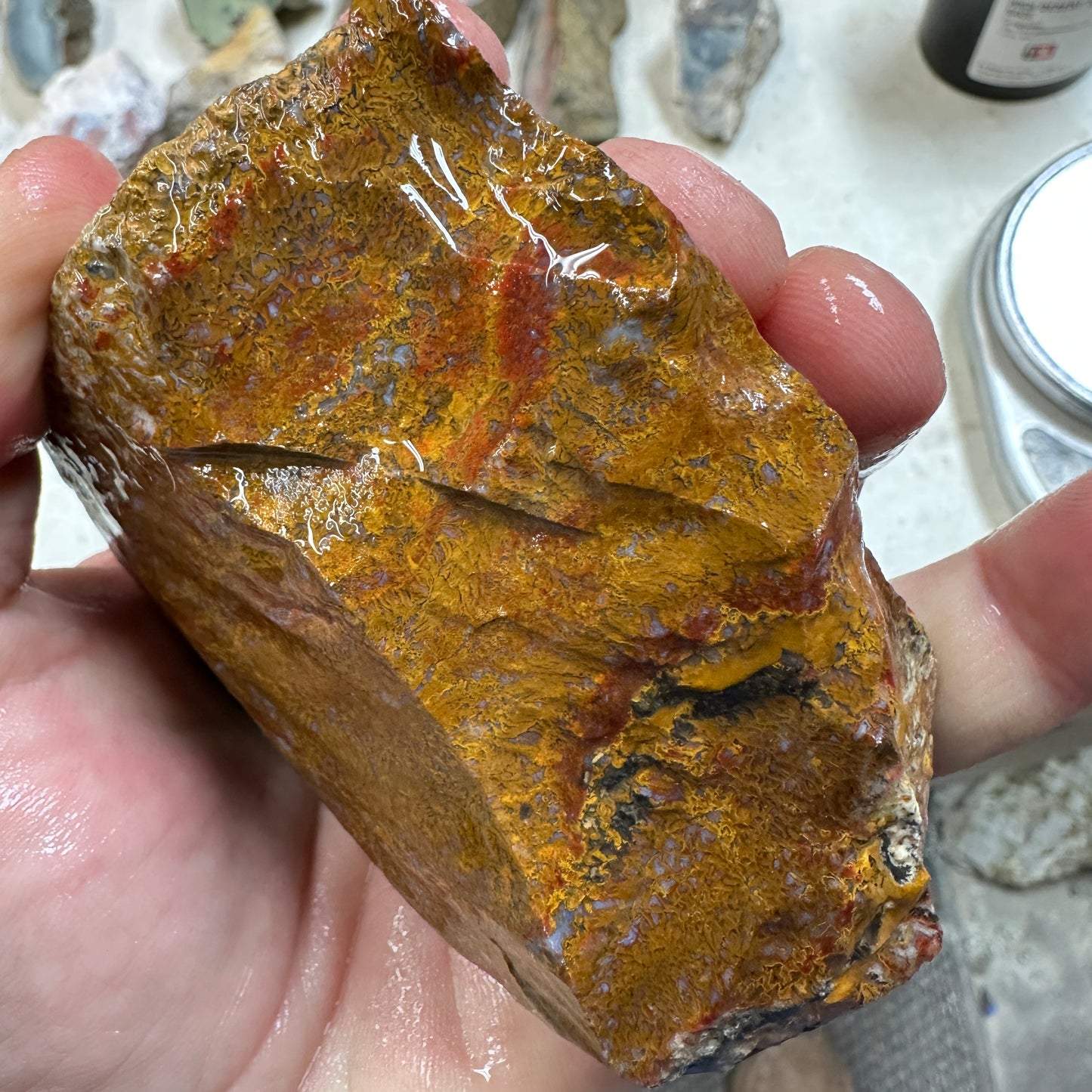 WINGATE PASS PLUME AGATE Windowed Rough - 0.94 Pounds