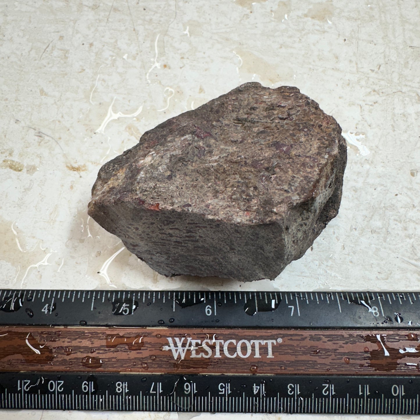 GEMBONE Dinosaur Bone Faced Rough - 0.46 Pounds