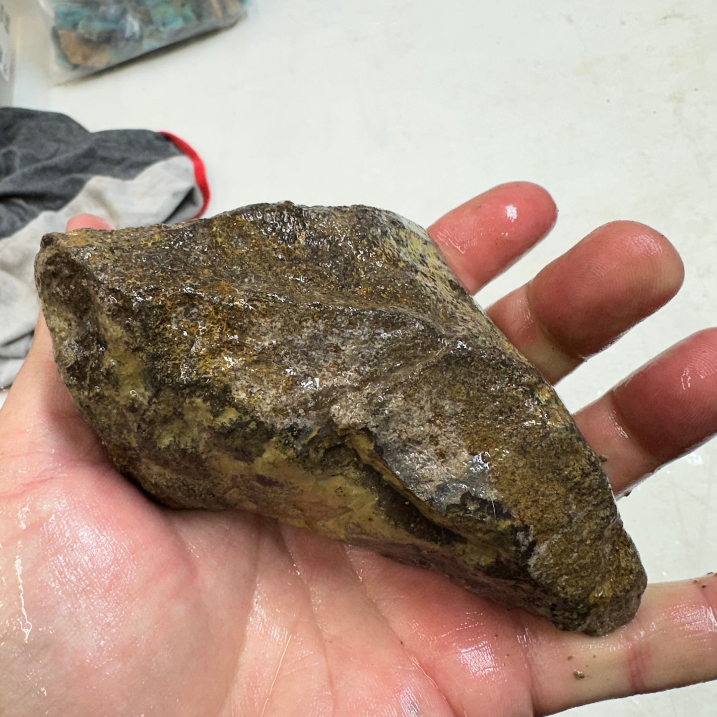 GEMBONE Dinosaur Bone Faced Rough - 1.10 Pounds