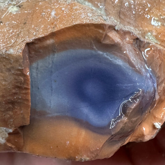 TIFFANY STONE Rough - 1.32 Pounds