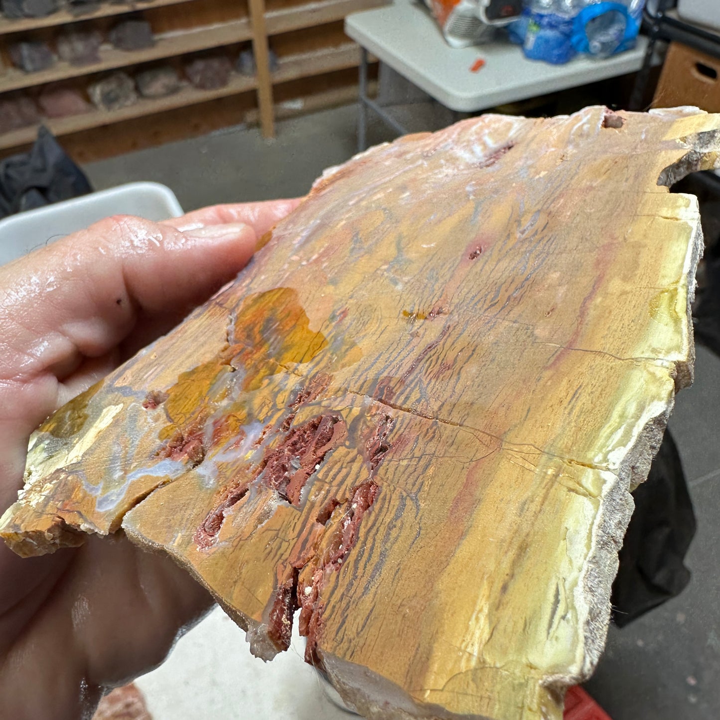 HOWARDITE Slab - 220 grams