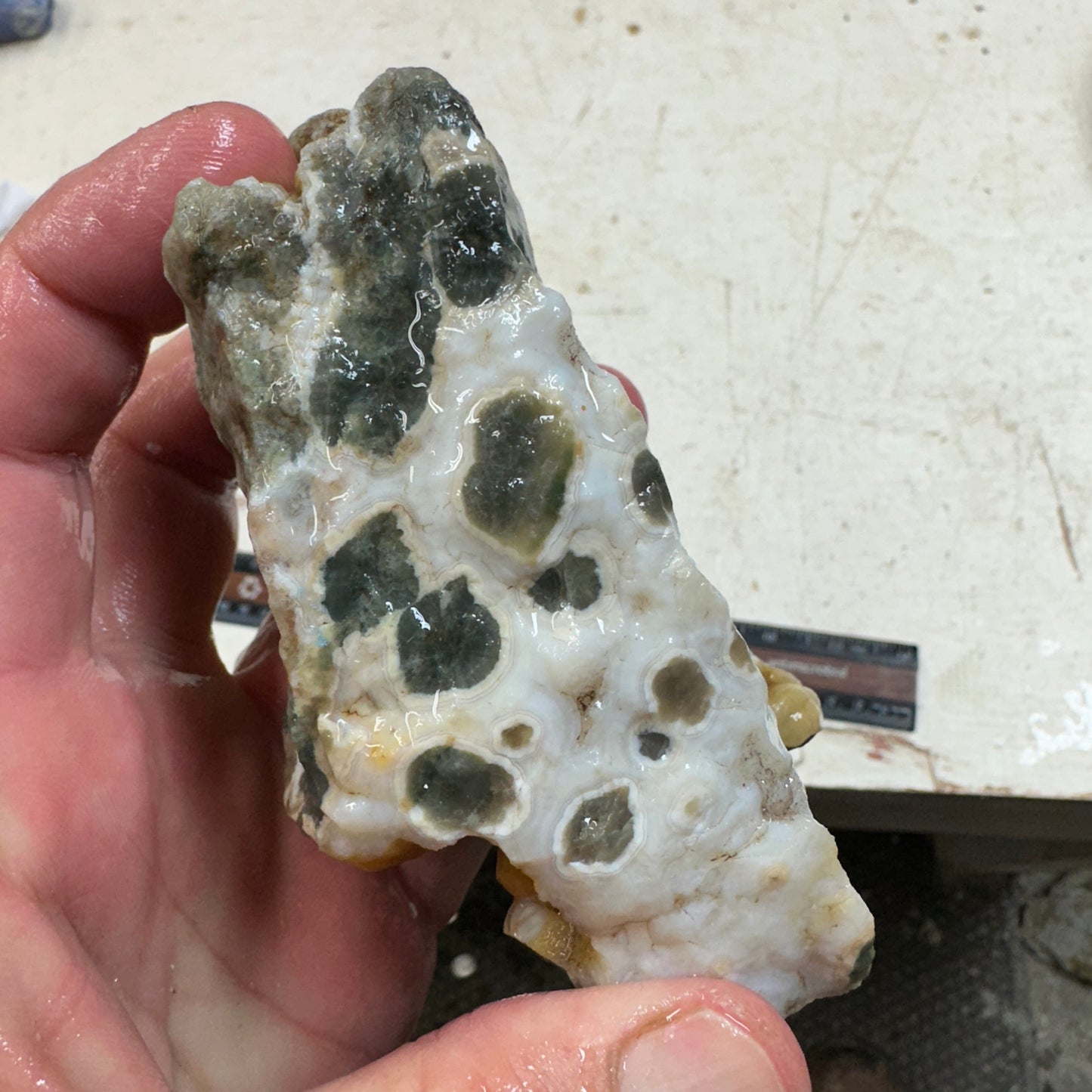 OCEAN JASPER Rough - 0.98 Pounds