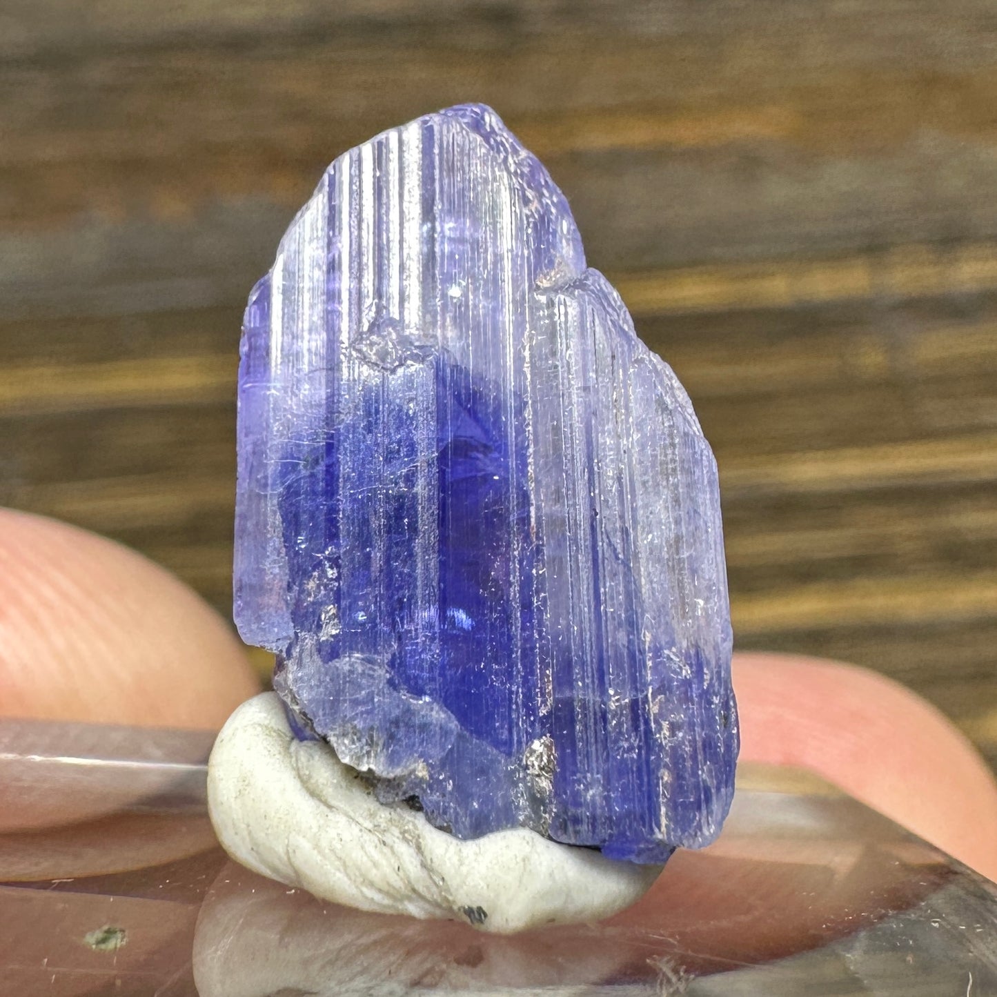 TANZANITE Crystal Display Mineral Specimen