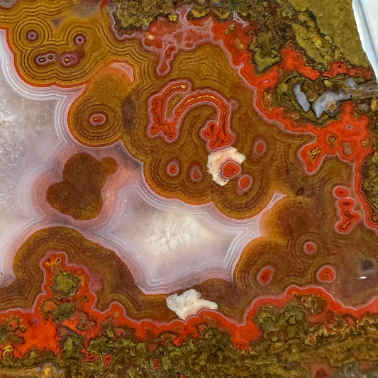 MOROCCAN SEAM AGATE Slab - 85 grams