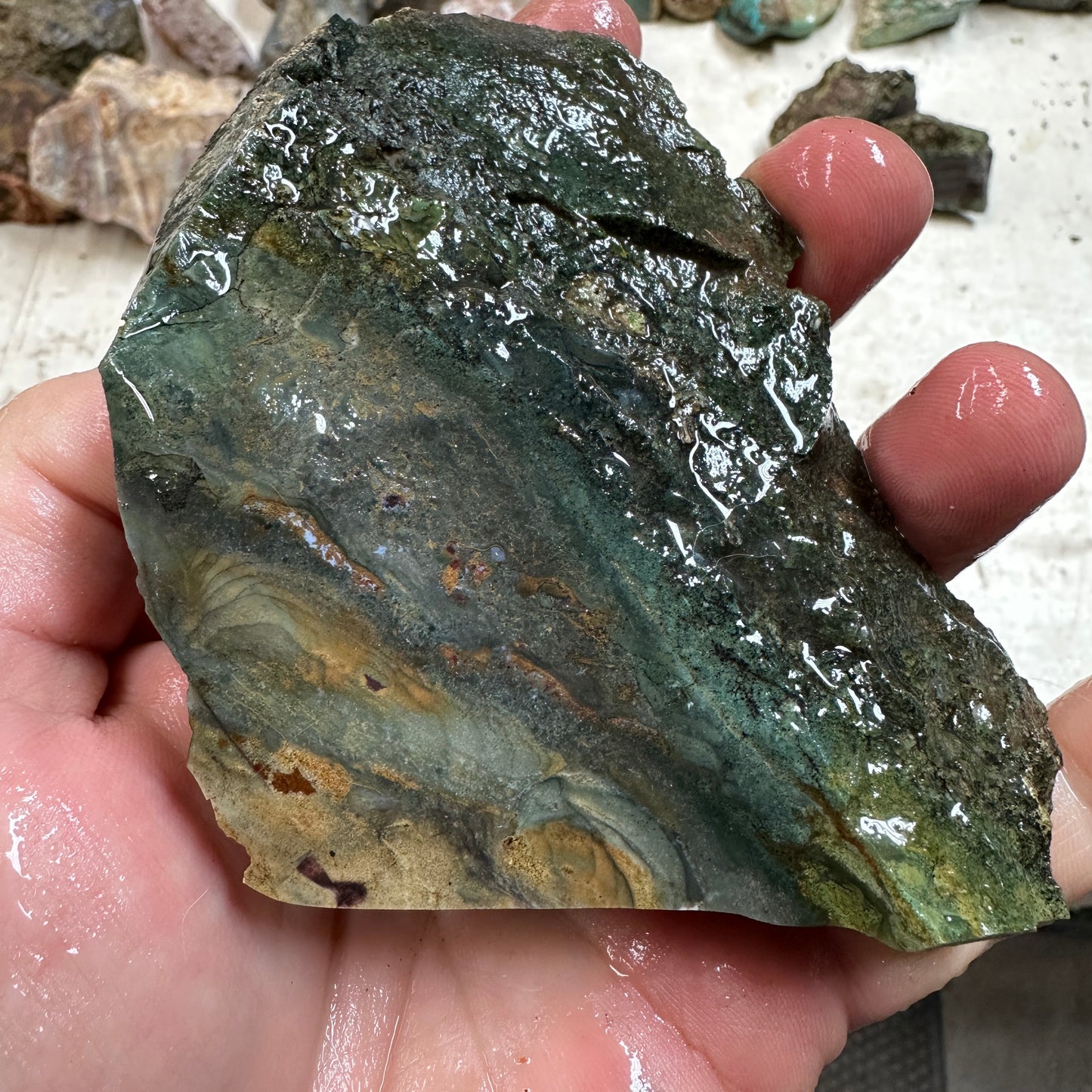 Orbed ECHO RIDGE JASPER Rough - 0.84 Pounds