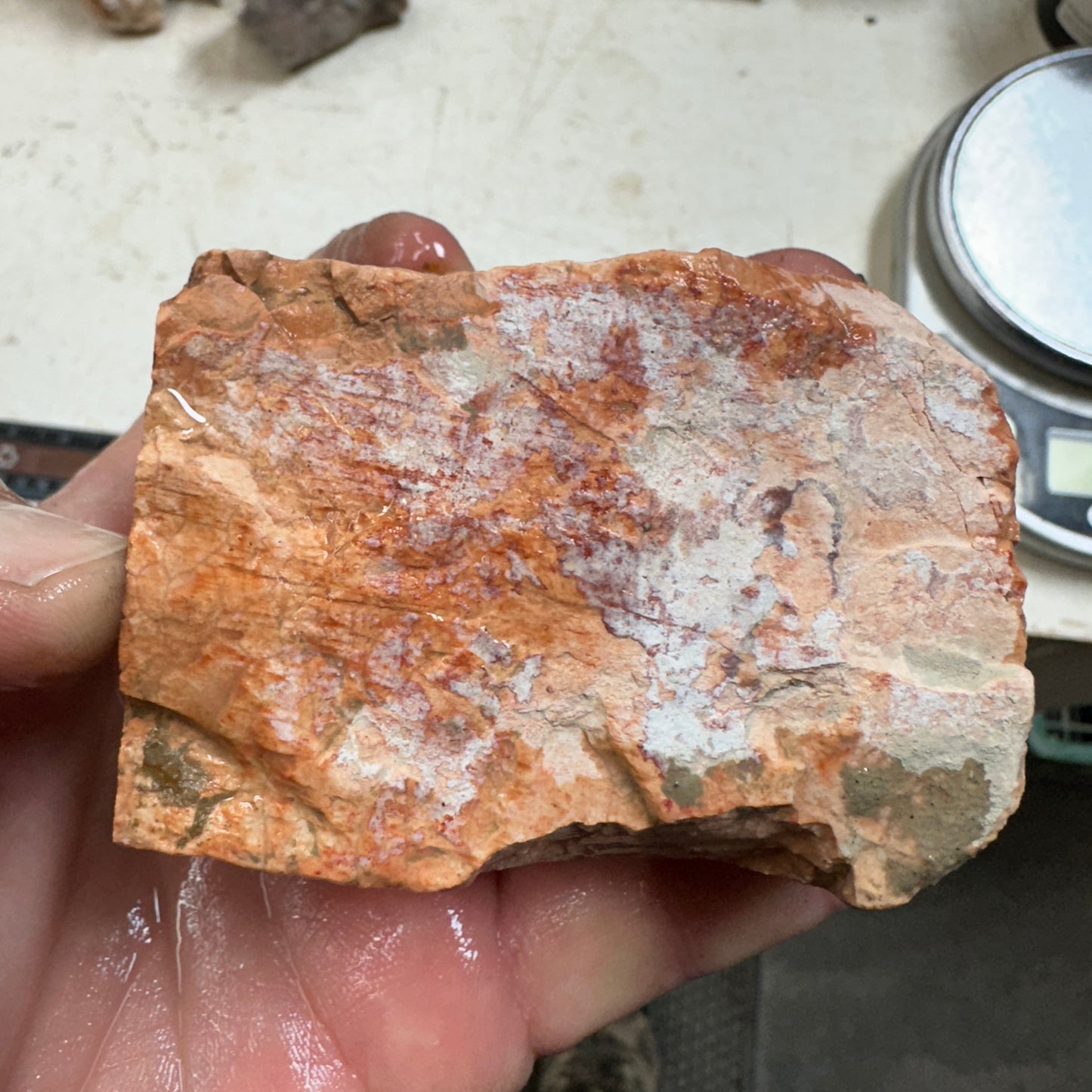 TIFFANY STONE Faced Rough - 0.80 Pounds