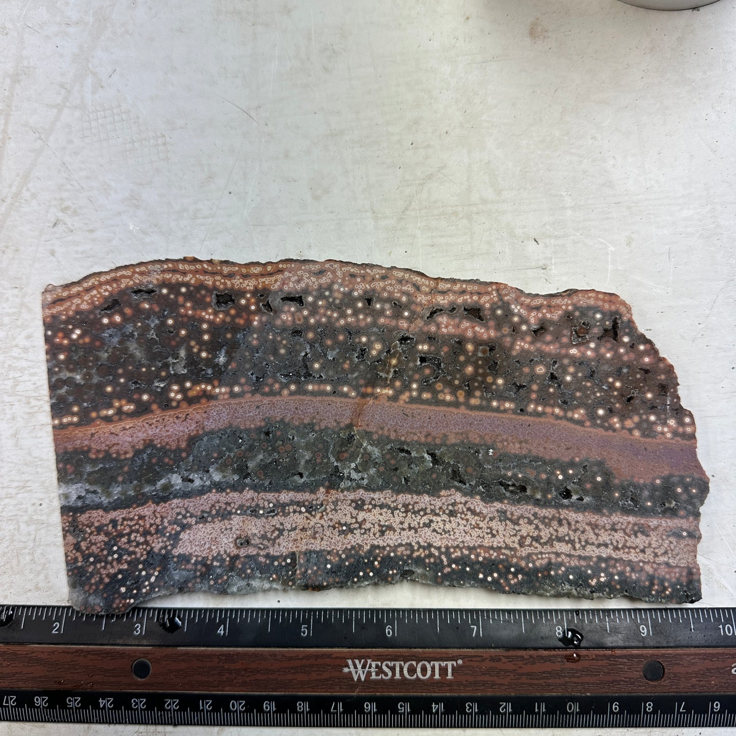 Chocolate RIVER JASPER Slab - 316 grams