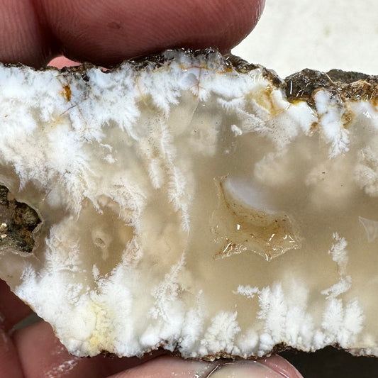 NEVADA POINT PLUME AGATE Faced Rough - 0.52 Pounds