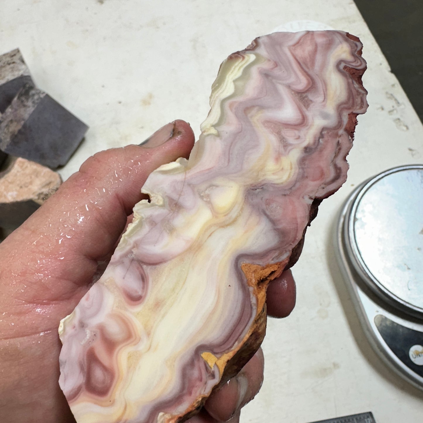 WINDY MOUNTAIN AGATE Faced Rough - 1.72 Pounds