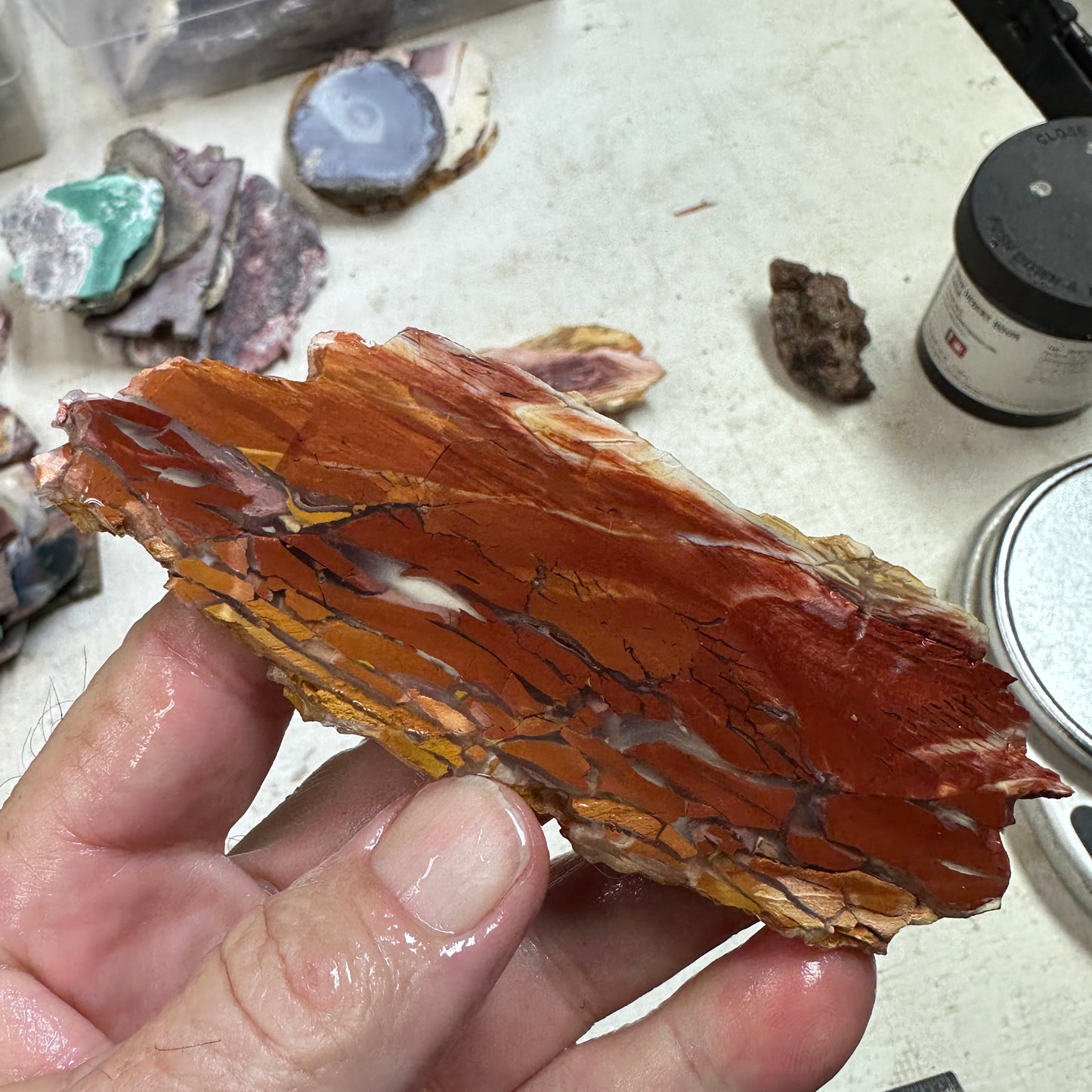 SUNSET HOWARDITE Slab - 56 grams