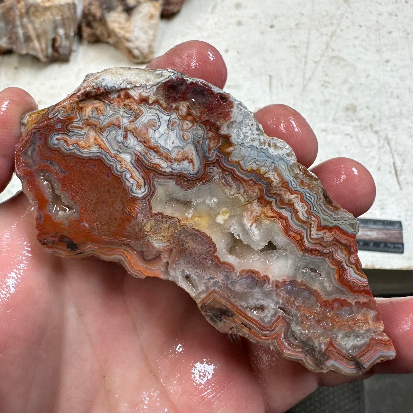 CRAZY LACE AGATE Faced Rough - 0.52 pounds