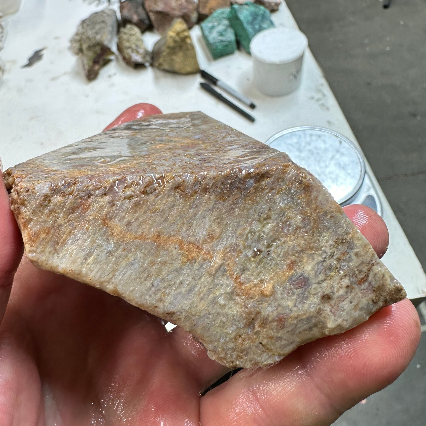 GEMBONE Dinosaur Bone Faced Rough - 0.89 Pounds